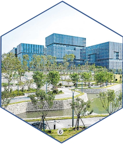 青岛:走区市进现场米乐M6 米乐看项目见成效(图6) 青岛:走区市进现场米乐M6 米乐看项目见成效(图6)
