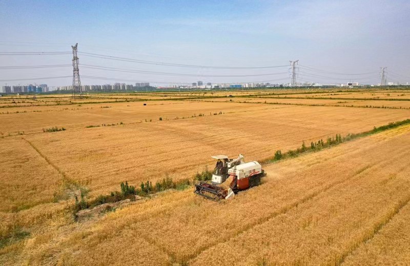 米乐 M6米乐政经1号︱走在前、做示范江苏锚定这十大牵引性重点工作(图3)