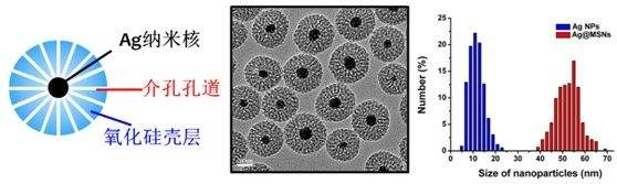 米乐 M6米乐什么是纳米材料?纳米材料有什么特性?(图3) 米乐 M6米乐什么是纳米材料?纳米材料有什么特性?(图3)