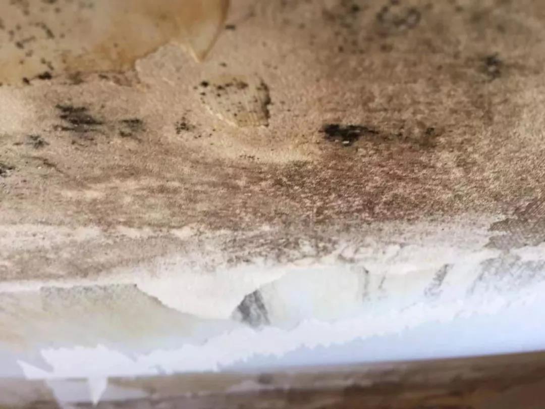 米乐 M6米乐花2000多万买的新房女子刚走进去看到的一幕让她崩溃!(图5) 米乐 M6米乐花2000多万买的新房女子刚走进去看到的一幕让她崩溃!(图5)