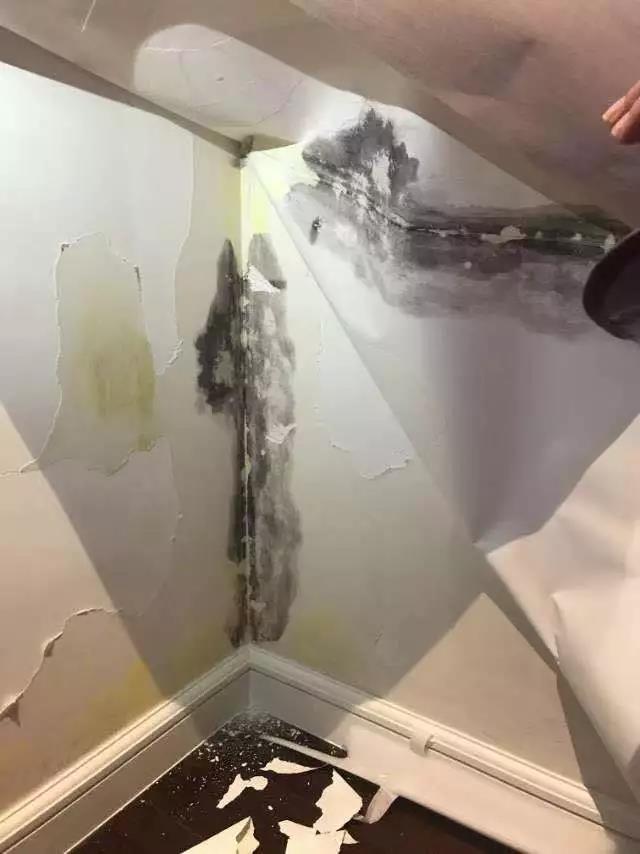 米乐 M6米乐花2000多万买的新房女子刚走进去看到的一幕让她崩溃!(图9) 米乐 M6米乐花2000多万买的新房女子刚走进去看到的一幕让她崩溃!(图9)