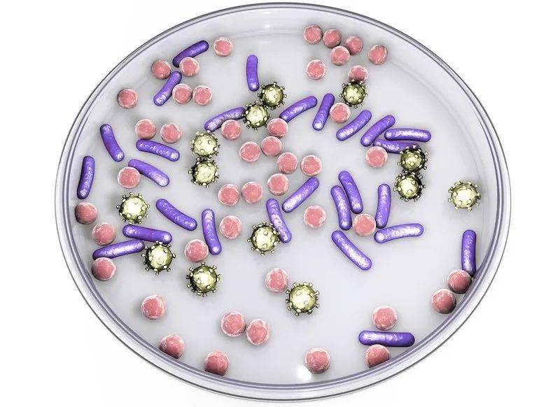 米乐M6 米乐揭秘未来丨100大潜力新材料(图91) 米乐M6 米乐揭秘未来丨100大潜力新材料(图91)