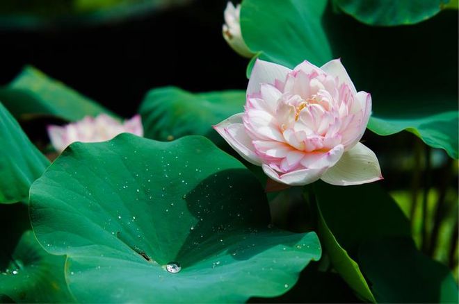 米乐 M6米乐大上海到小县城再到海外中国建筑铝板装饰行业冠军之路(图2) 米乐 M6米乐大上海到小县城再到海外中国建筑铝板装饰行业冠军之路(图2)