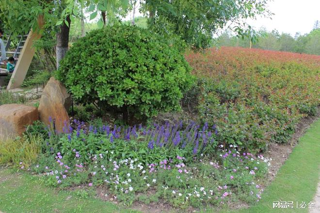 屋顶绿化需要注意的细节你了解多少？米乐M6 米乐(图3)