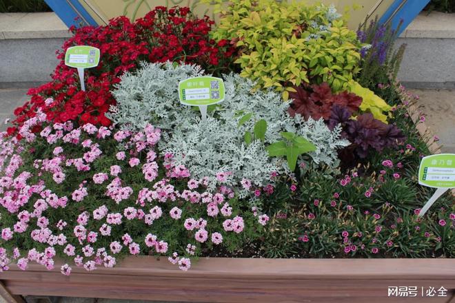 屋顶绿化需要注意的细节你了解多少？米乐M6 米乐(图4)