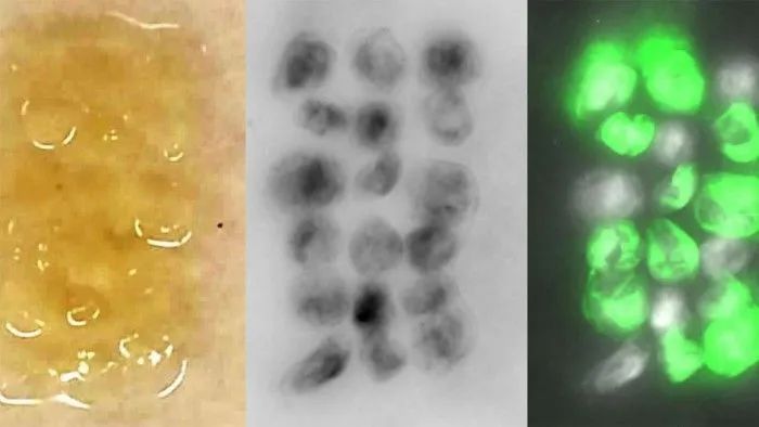 米乐M6 米乐除了石墨烯还有哪些神奇的新材料?(图1) 米乐M6 米乐除了石墨烯还有哪些神奇的新材料?(图1)