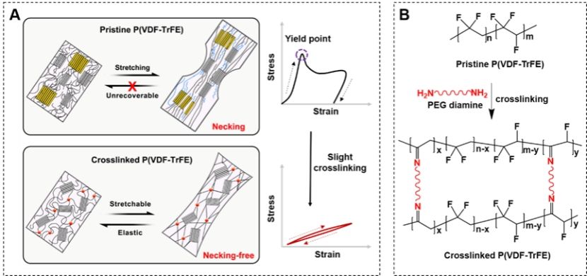 中国科大纳米科学技术学院硕士生在《科学》上以第一作者发表论文米乐M6 米乐(图1) 中国科大纳米科学技术学院硕士生在《科学》上以第一作者发表论文米乐M6 米乐(图1)