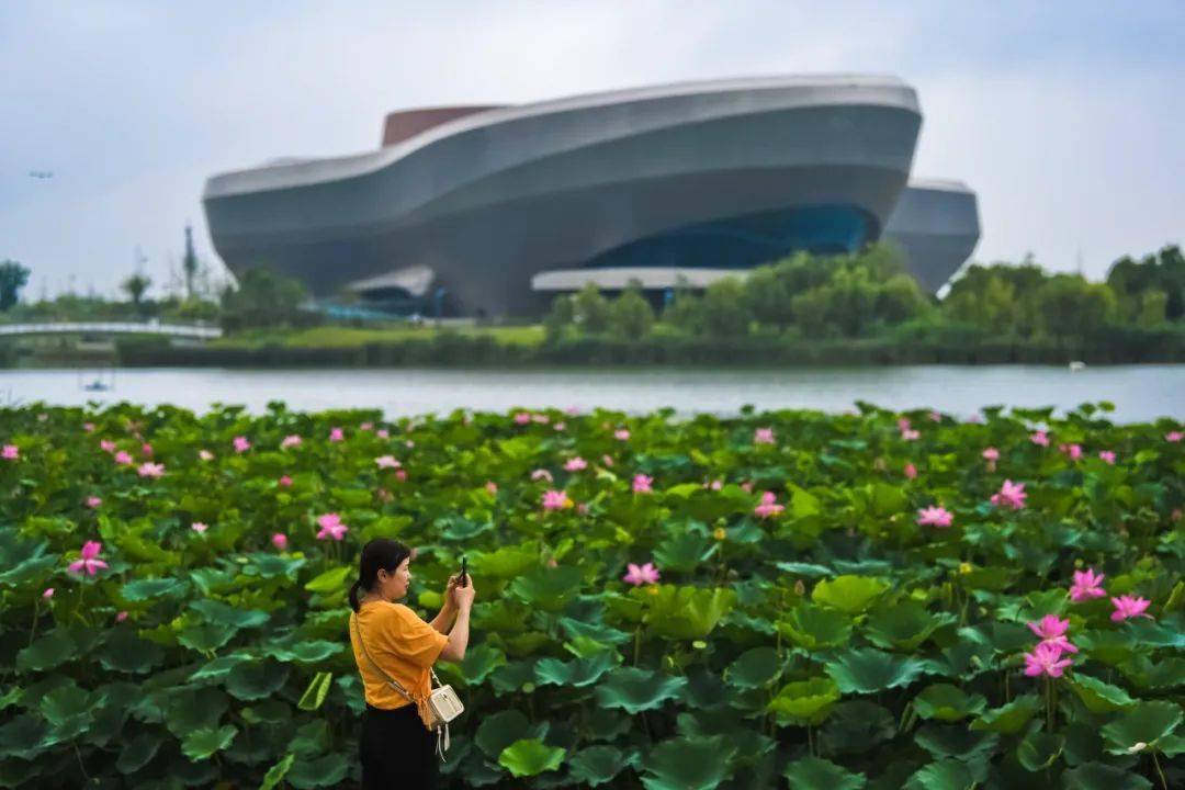 米乐M6 米乐市委书记与千名学子面对面聊了啥?(图7) 米乐M6 米乐市委书记与千名学子面对面聊了啥?(图7)