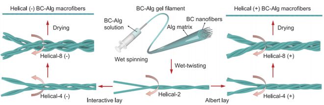 深耕纳米乐 M6米乐米功能化引领后塑料时代——俞书宏院士课题组2020年研究成果集锦(图11) 深耕纳米乐 M6米乐米功能化引领后塑料时代——俞书宏院士课题组2020年研究成果集锦(图11)
