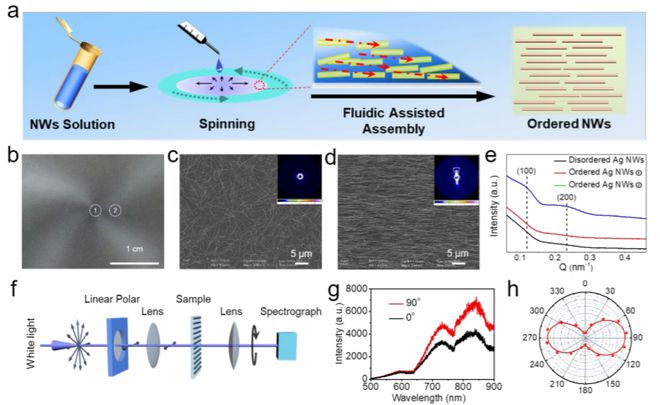 深耕纳米乐 M6米乐米功能化引领后塑料时代——俞书宏院士课题组2020年研究成果集锦(图26) 深耕纳米乐 M6米乐米功能化引领后塑料时代——俞书宏院士课题组2020年研究成果集锦(图26)
