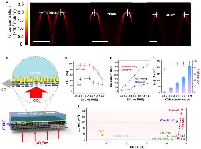 深耕纳米乐 M6米乐米功能化引领后塑料时代——俞书宏院士课题组2020年研究成果集锦(图25) 深耕纳米乐 M6米乐米功能化引领后塑料时代——俞书宏院士课题组2020年研究成果集锦(图25)