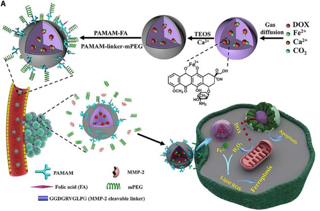 深耕纳米乐 M6米乐米功能化引领后塑料时代——俞书宏院士课题组2020年研究成果集锦(图28) 深耕纳米乐 M6米乐米功能化引领后塑料时代——俞书宏院士课题组2020年研究成果集锦(图28)