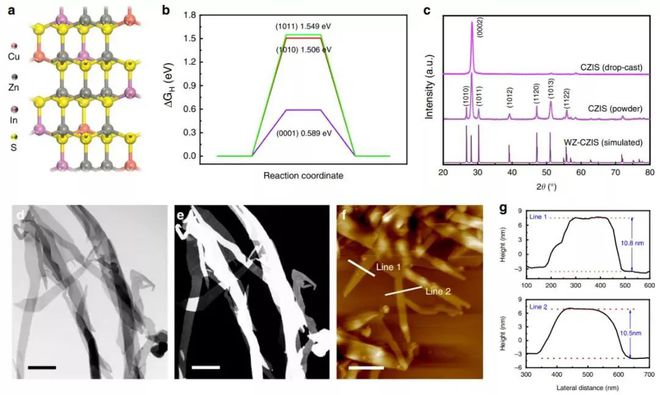 深耕纳米乐 M6米乐米功能化引领后塑料时代——俞书宏院士课题组2020年研究成果集锦(图19) 深耕纳米乐 M6米乐米功能化引领后塑料时代——俞书宏院士课题组2020年研究成果集锦(图19)