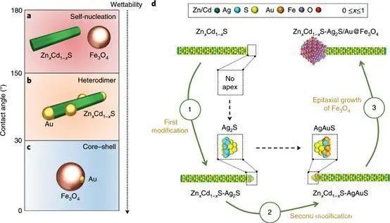 深耕纳米乐 M6米乐米功能化引领后塑料时代——俞书宏院士课题组2020年研究成果集锦(图17) 深耕纳米乐 M6米乐米功能化引领后塑料时代——俞书宏院士课题组2020年研究成果集锦(图17)
