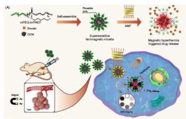 深耕纳米乐 M6米乐米功能化引领后塑料时代——俞书宏院士课题组2020年研究成果集锦(图30) 深耕纳米乐 M6米乐米功能化引领后塑料时代——俞书宏院士课题组2020年研究成果集锦(图30)