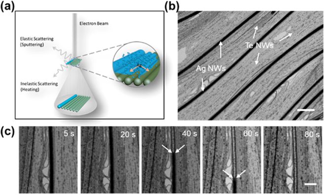 深耕纳米乐 M6米乐米功能化引领后塑料时代——俞书宏院士课题组2020年研究成果集锦(图32) 深耕纳米乐 M6米乐米功能化引领后塑料时代——俞书宏院士课题组2020年研究成果集锦(图32)