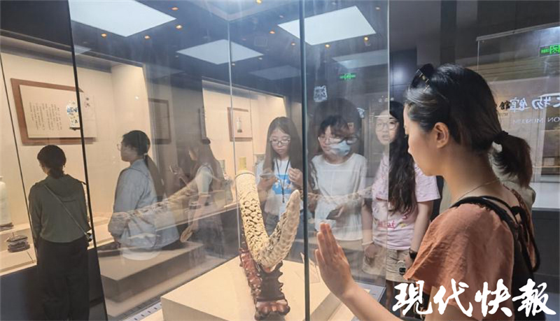 米乐 M6米乐香港传媒学子用脚步丈量江苏8天5市他们看到了什么？(图2)