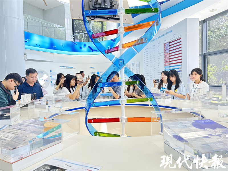 米乐 M6米乐香港传媒学子用脚步丈量江苏8天5市他们看到了什么？(图5)