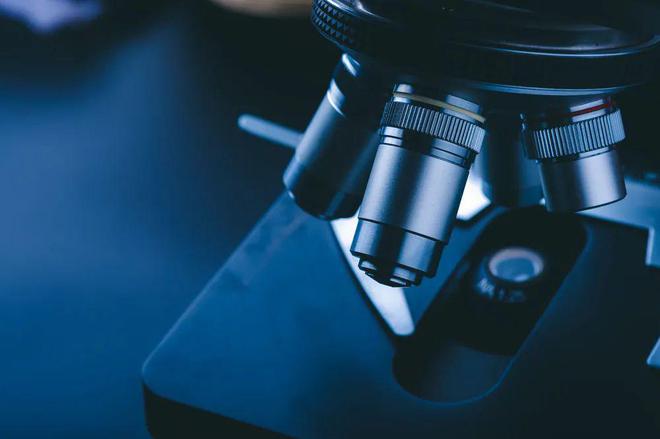 中国新材料:3大热点4大产业5大聚焦!米乐 M6米乐(图7) 中国新材料:3大热点4大产业5大聚焦!米乐 M6米乐(图7)