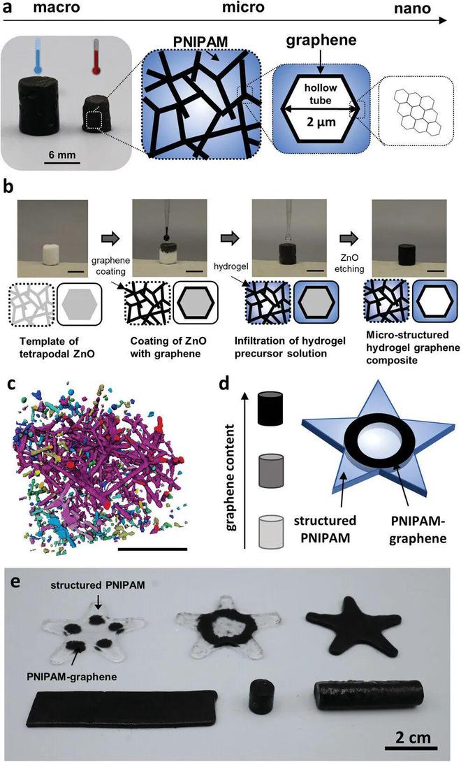 米乐 M6米乐基尔大学研发水凝胶新材料可实现短时间内受控方式扩张与收缩(图2)