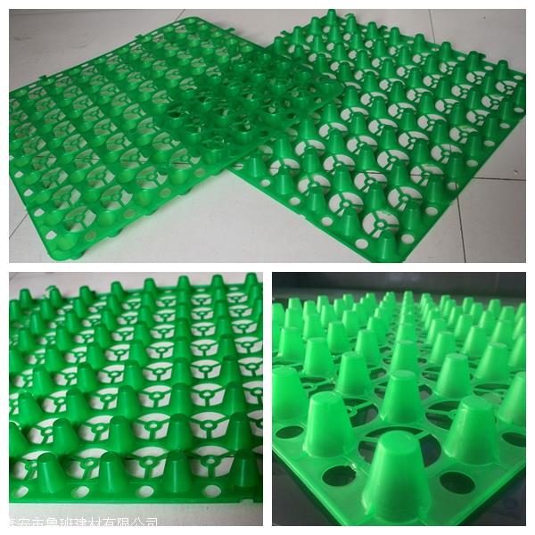 楼顶花园排水板阻根排水板疏供货米乐M6 米乐商(图1)