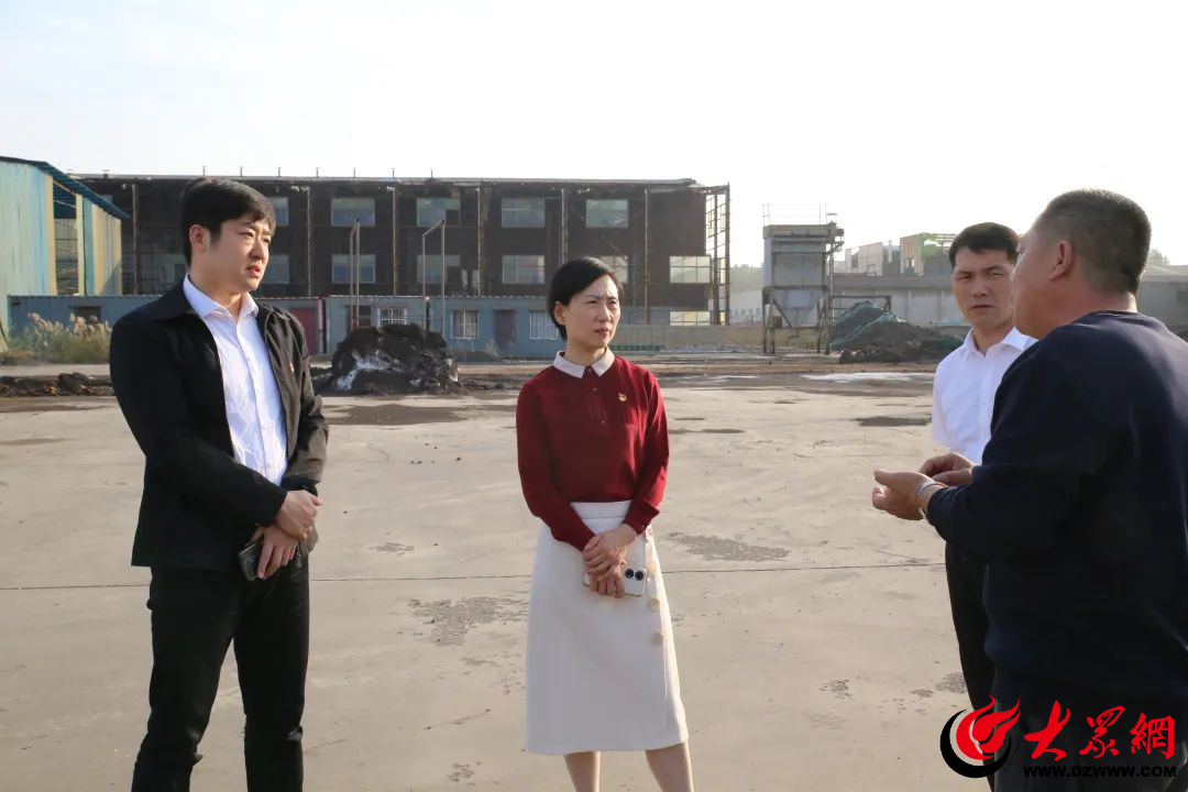 米乐 M6米乐邹平市委常委、统战部部长副市长张欣到台子镇督导调研(图1)