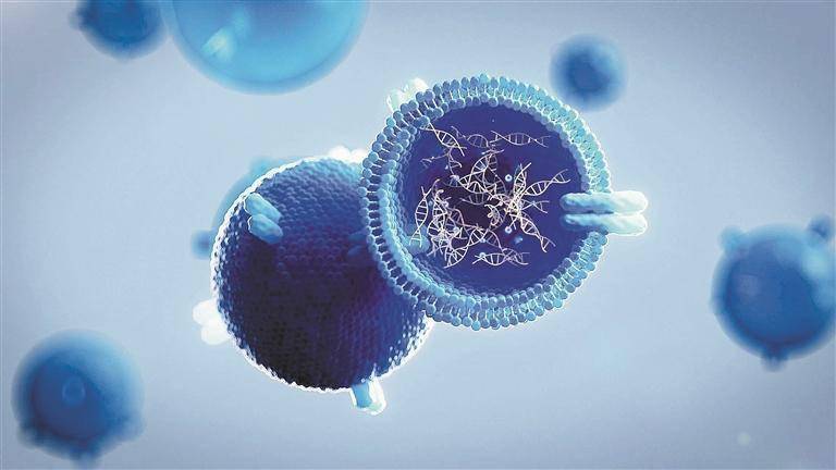 穿上纳米“外衣” 药物直米乐 M6米乐达病灶(图1)