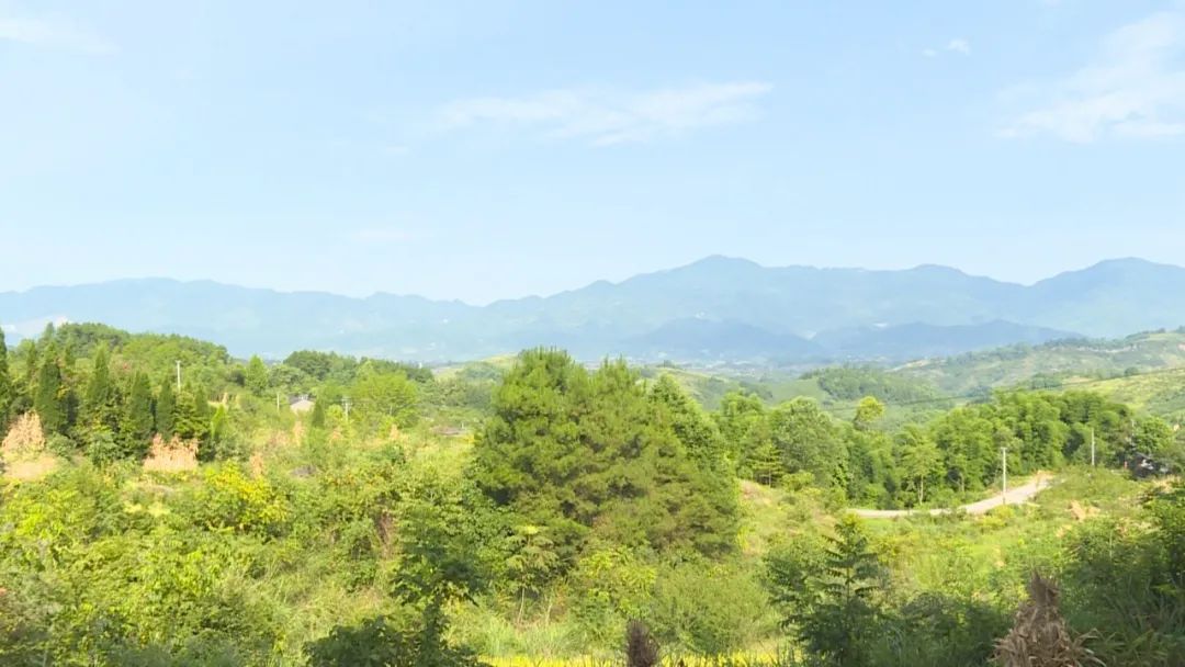 米乐 M6米乐邻水县梁板镇:防火、防汛“两手抓” 筑牢安全“防护墙”(图1) 米乐 M6米乐邻水县梁板镇:防火、防汛“两手抓” 筑牢安全“防护墙”(图1)