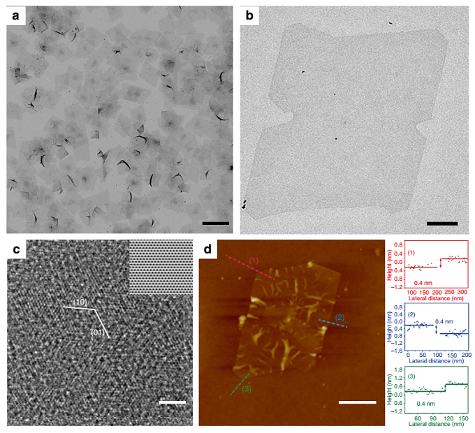 米乐M6 米乐纳米科技最前沿 新相材料正耀眼(图12) 米乐M6 米乐纳米科技最前沿 新相材料正耀眼(图12)
