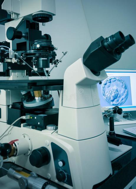 重庆大学实现纳米金属塑性变形的三维电镜揭示反常现象物理本质(图1) 重庆大学实现纳米金属塑性变形的三维电镜揭示反常现象物理本质(图1)