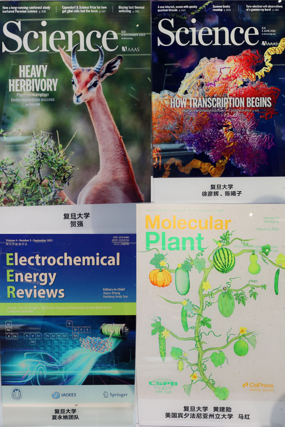 上海封面中国力量——从国际顶刊成果看中国创新(图4) 上海封面中国力量——从国际顶刊成果看中国创新(图4)