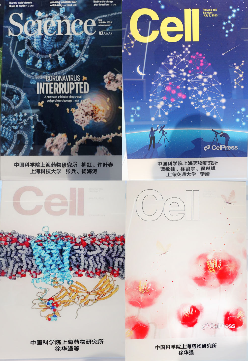 上海封面中国力量——从国际顶刊成果看中国创新(图8) 上海封面中国力量——从国际顶刊成果看中国创新(图8)