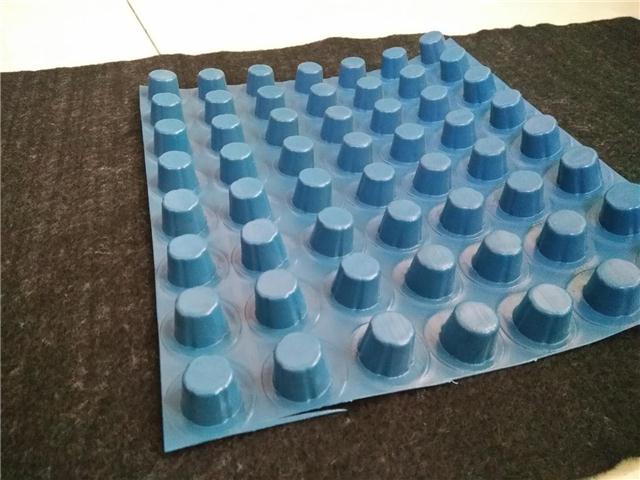 塑料排水板-绿化排水板-蓄防水保护板厂家 价格实惠(图2) 塑料排水板-绿化排水板-蓄防水保护板厂家 价格实惠(图2)