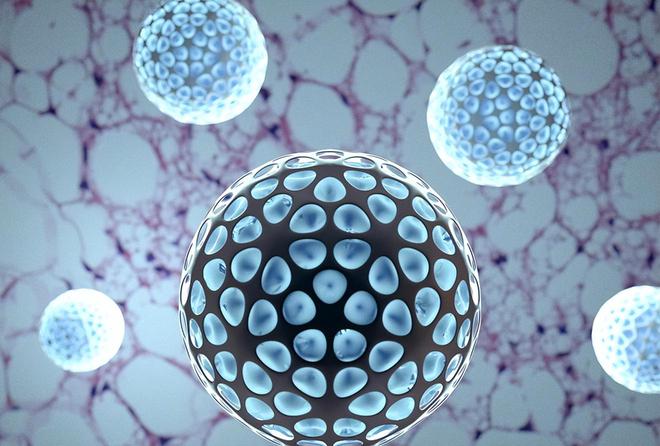 纳米脂肪的神奇用途你知道吗?(图2) 纳米脂肪的神奇用途你知道吗?(图2)