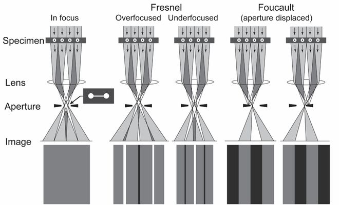 香港大学陆洋等《Chemical Reviews》:原位透射电镜相变工程研究综述(图8) 香港大学陆洋等《Chemical Reviews》:原位透射电镜相变工程研究综述(图8)