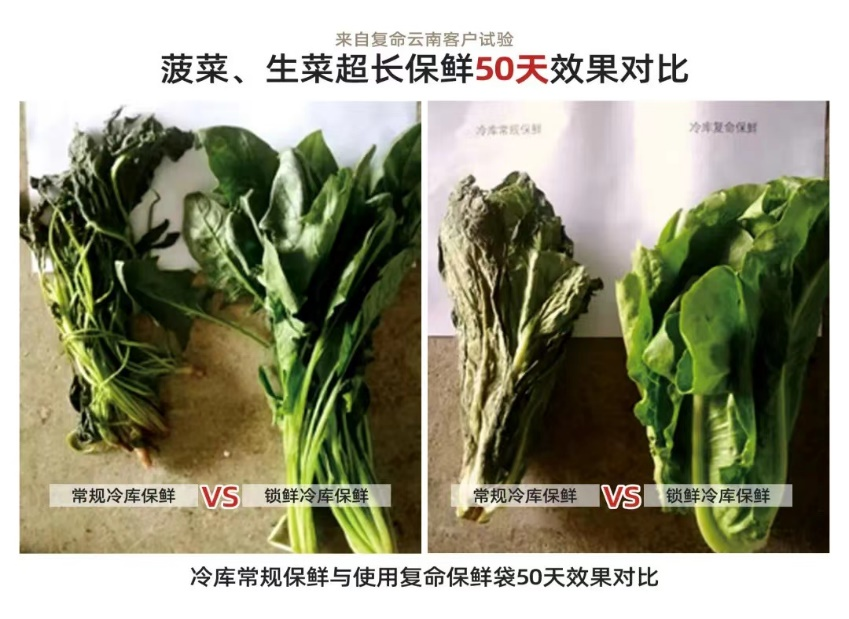 创星未来 复命新材料保鲜技术引领者(图2) 创星未来 复命新材料保鲜技术引领者(图2)