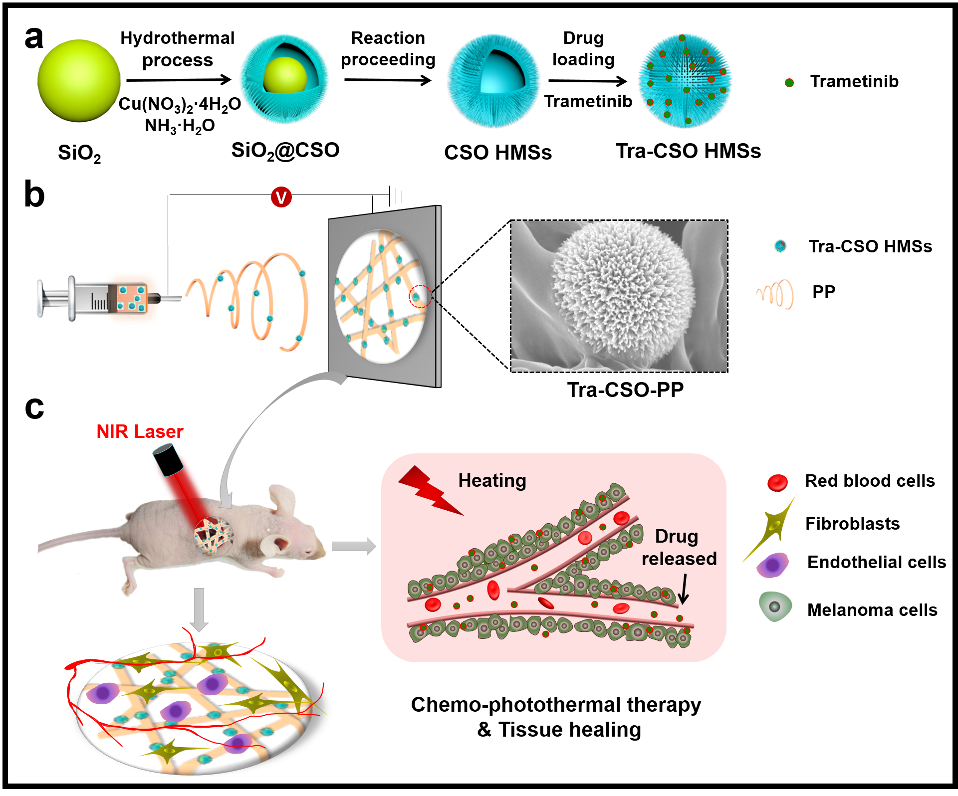 上海硅酸盐所在黑色素瘤治疗与创伤修复用智能生物支架材料方面取得重要进展(图1) 上海硅酸盐所在黑色素瘤治疗与创伤修复用智能生物支架材料方面取得重要进展(图1)