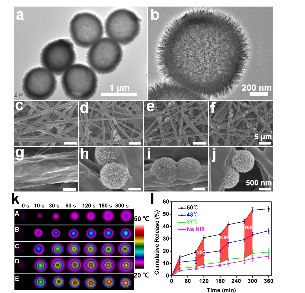 上海硅酸盐所在黑色素瘤治疗与创伤修复用智能生物支架材料方面取得重要进展(图2) 上海硅酸盐所在黑色素瘤治疗与创伤修复用智能生物支架材料方面取得重要进展(图2)