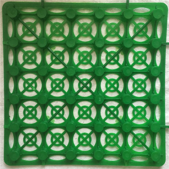 塑料排水保护板 蓄水板(图3)