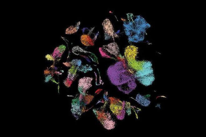 Nature:2024年值得关注的7大技术3D打印纳米材料入选(图3) Nature:2024年值得关注的7大技术3D打印纳米材料入选(图3)