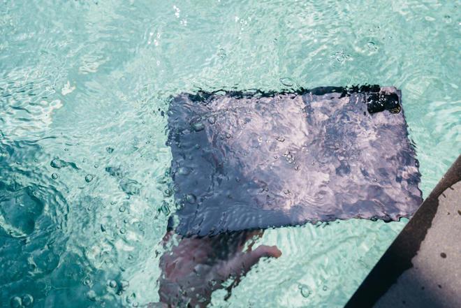 平板电脑也能“水陆两栖”?AGM首款防水平板P1正式亮相(图3) 平板电脑也能“水陆两栖”?AGM首款防水平板P1正式亮相(图3)