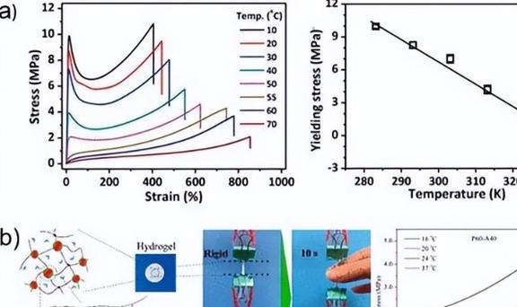 化学纳米大发现！我国成功制造出五重孪晶金纳米晶打破人们认知(图12)