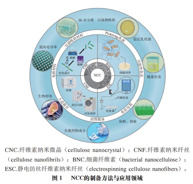 《食品科学》：兰州理工大学任海伟教授等：纳米纤维素的制备、结构性质及应用研究进展(图1)