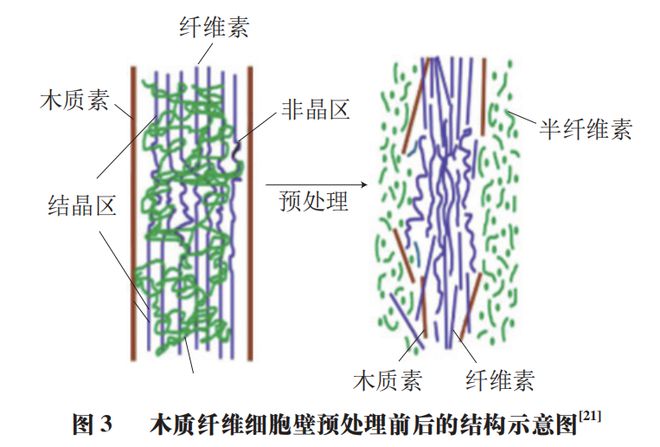 《食品科学》：兰州理工大学任海伟教授等：纳米纤维素的制备、结构性质及应用研究进展(图5)