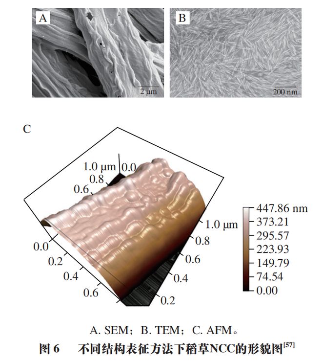 《食品科学》：兰州理工大学任海伟教授等：纳米纤维素的制备、结构性质及应用研究进展(图10)