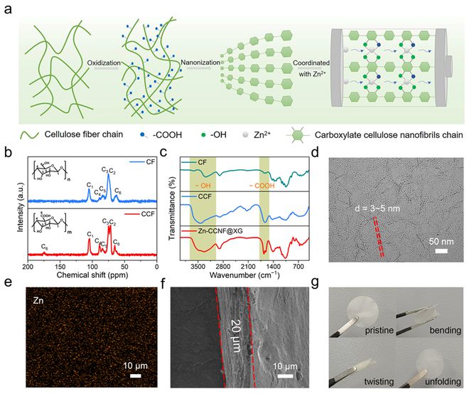 吉林大学徐吉静教授团队AFM：纤维素锌离子导体构筑全固态锌离子电池！(图1)