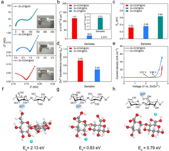 吉林大学徐吉静教授团队AFM：纤维素锌离子导体构筑全固态锌离子电池！(图2)
