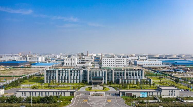 奋进潍坊人招引竞追逐(图1)