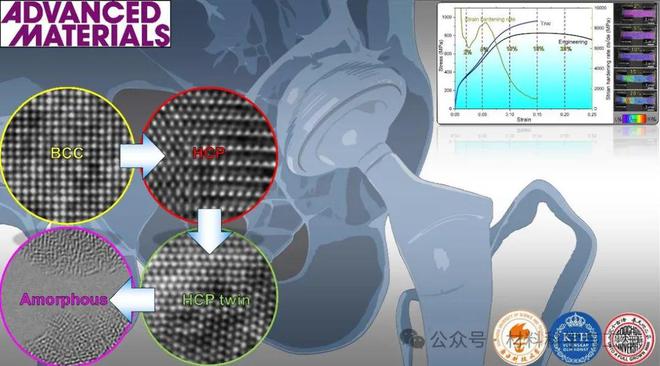 南科大逯文君团队：弹性模量29-37GPa塑性~25%的亚稳生物高熵合金！(图1)