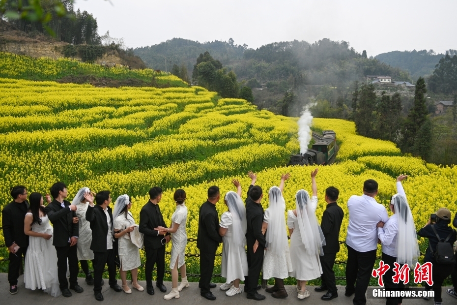 穿行在油菜花海 四川犍为开往“春天的火车”迎客忙(图5) 穿行在油菜花海 四川犍为开往“春天的火车”迎客忙(图5)